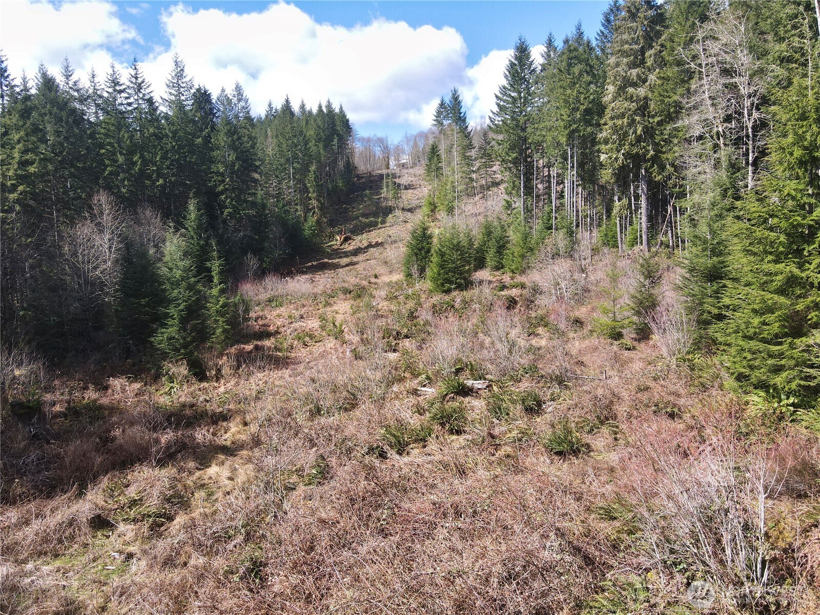 418 August Road , Onalaska, WA 98570