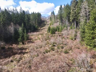 418 August Road , Onalaska, WA 98570 - Photo 14