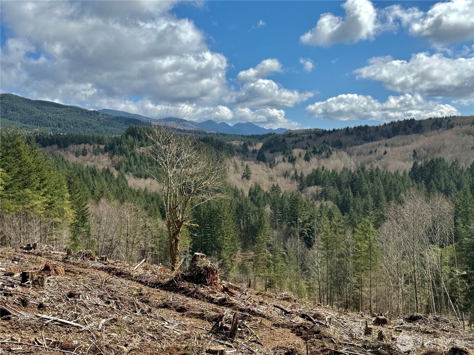 418 August Road , Onalaska, WA 98570