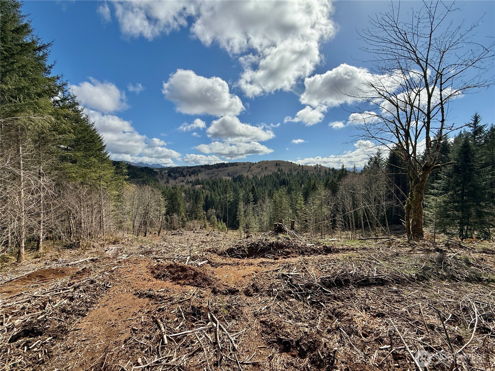 418 August Road , Onalaska, WA 98570