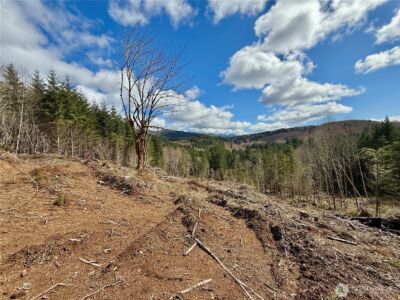 418 August Road , Onalaska, WA 98570 - Photo 18