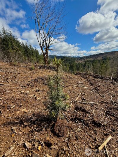 418 August Road , Onalaska, WA 98570 - Photo 19