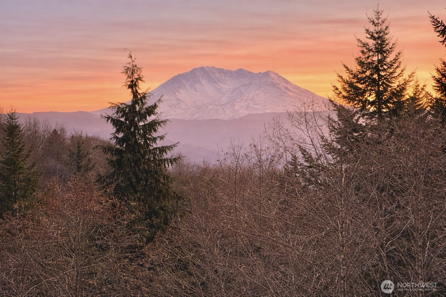 418 August Road , Onalaska, WA 98570