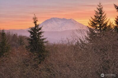 418 August Road , Onalaska, WA 98570 - Photo 20