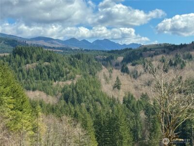 418 August Road , Onalaska, WA 98570 - Photo 2