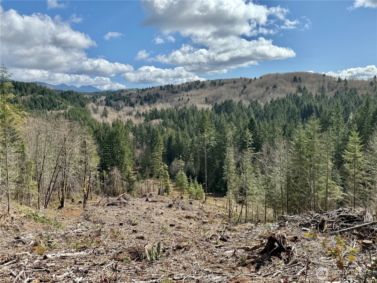 418 August Road , Onalaska, WA 98570