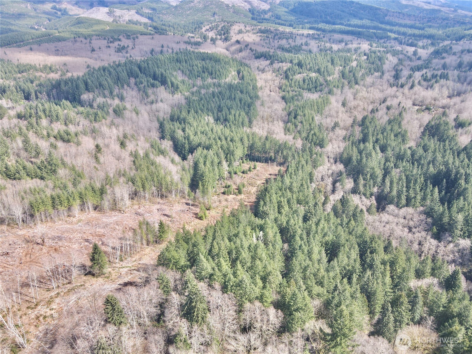 418 August Road , Onalaska, WA 98570