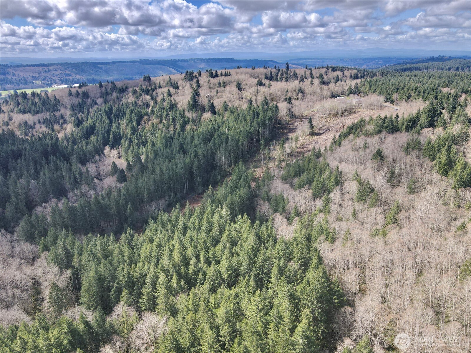 418 August Road , Onalaska, WA 98570