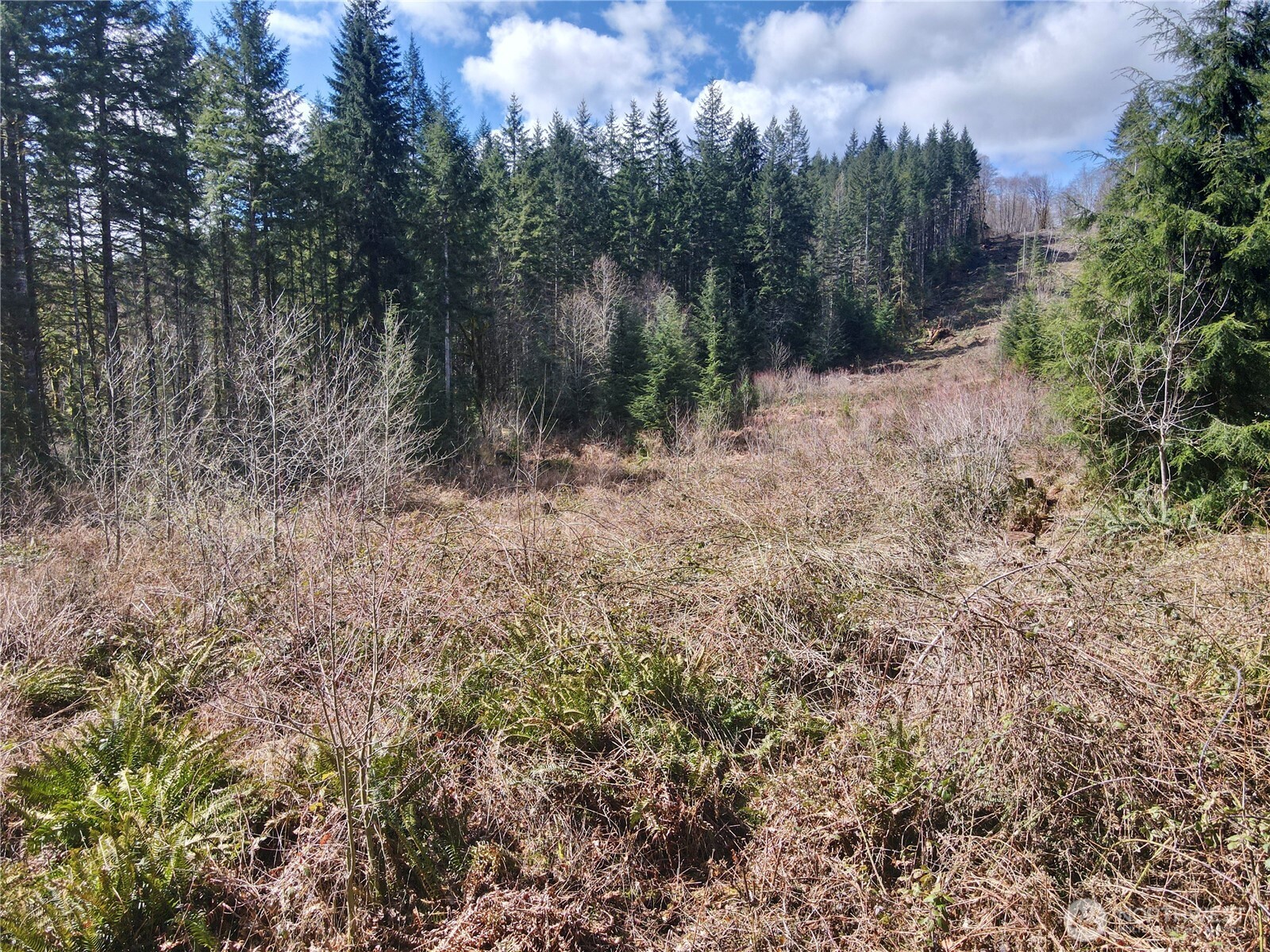 418 August Road , Onalaska, WA 98570