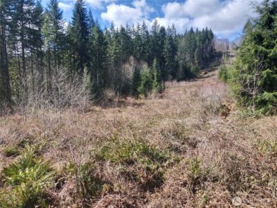 418 August Road , Onalaska, WA 98570 - Photo 24