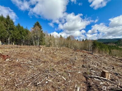 418 August Road , Onalaska, WA 98570 - Photo 25