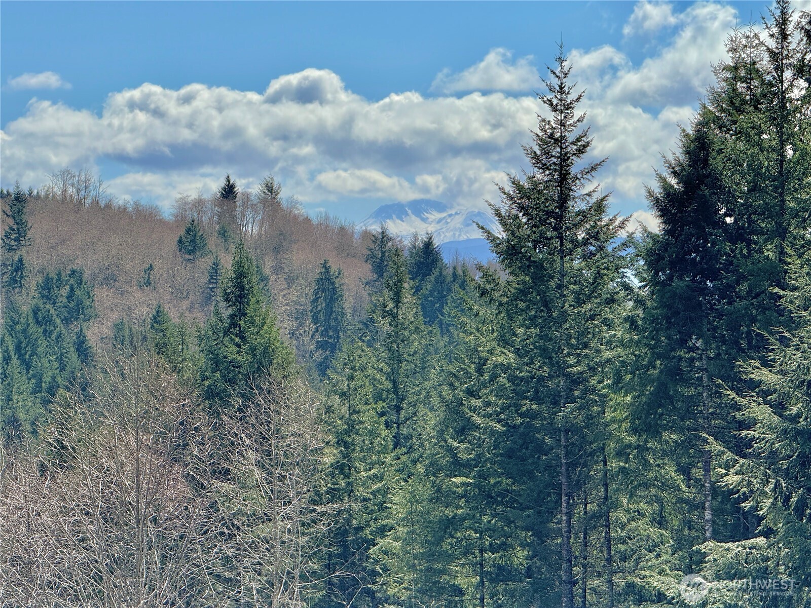 418 August Road , Onalaska, WA 98570