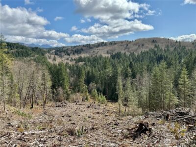 418 August Road , Onalaska, WA 98570 - Photo 3