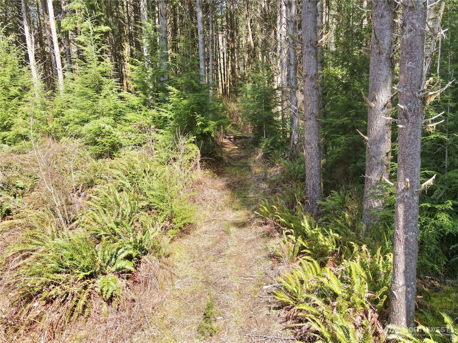 418 August Road , Onalaska, WA 98570