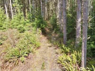 418 August Road , Onalaska, WA 98570 - Photo 32