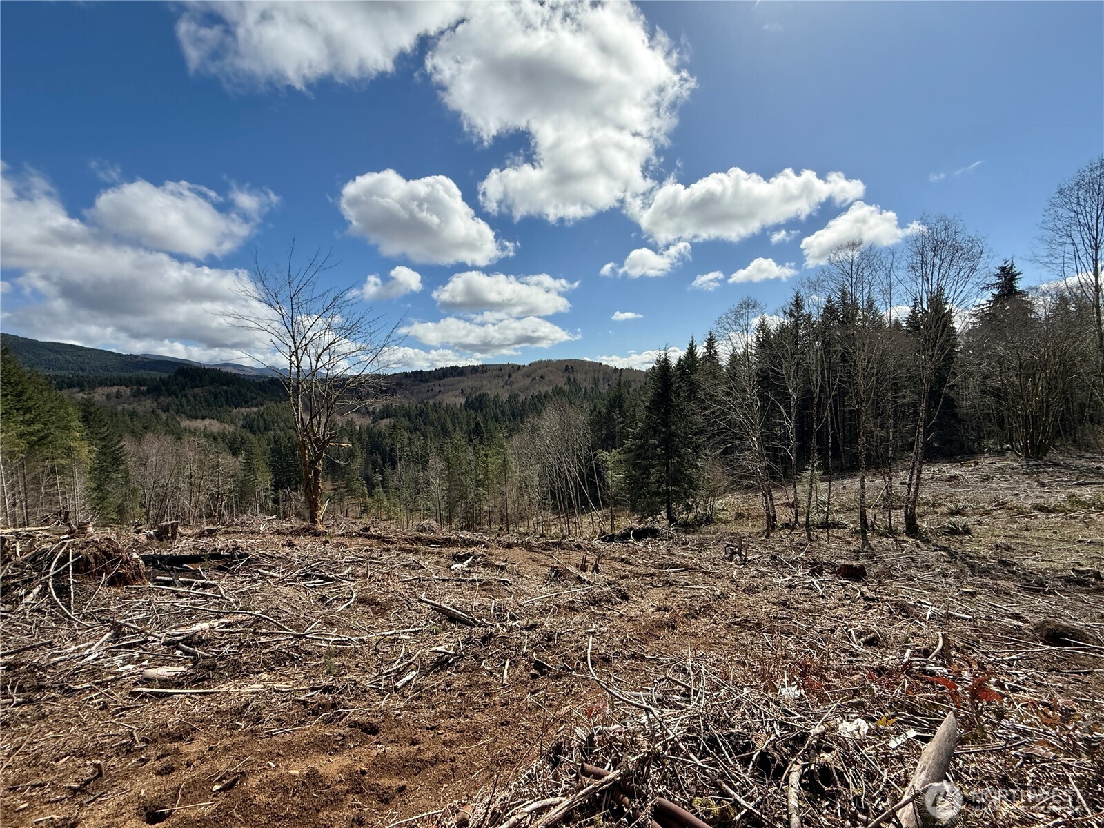 418 August Road , Onalaska, WA 98570