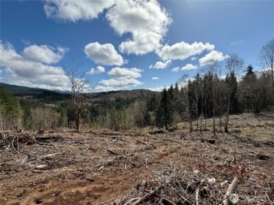 418 August Road , Onalaska, WA 98570 - Photo 36