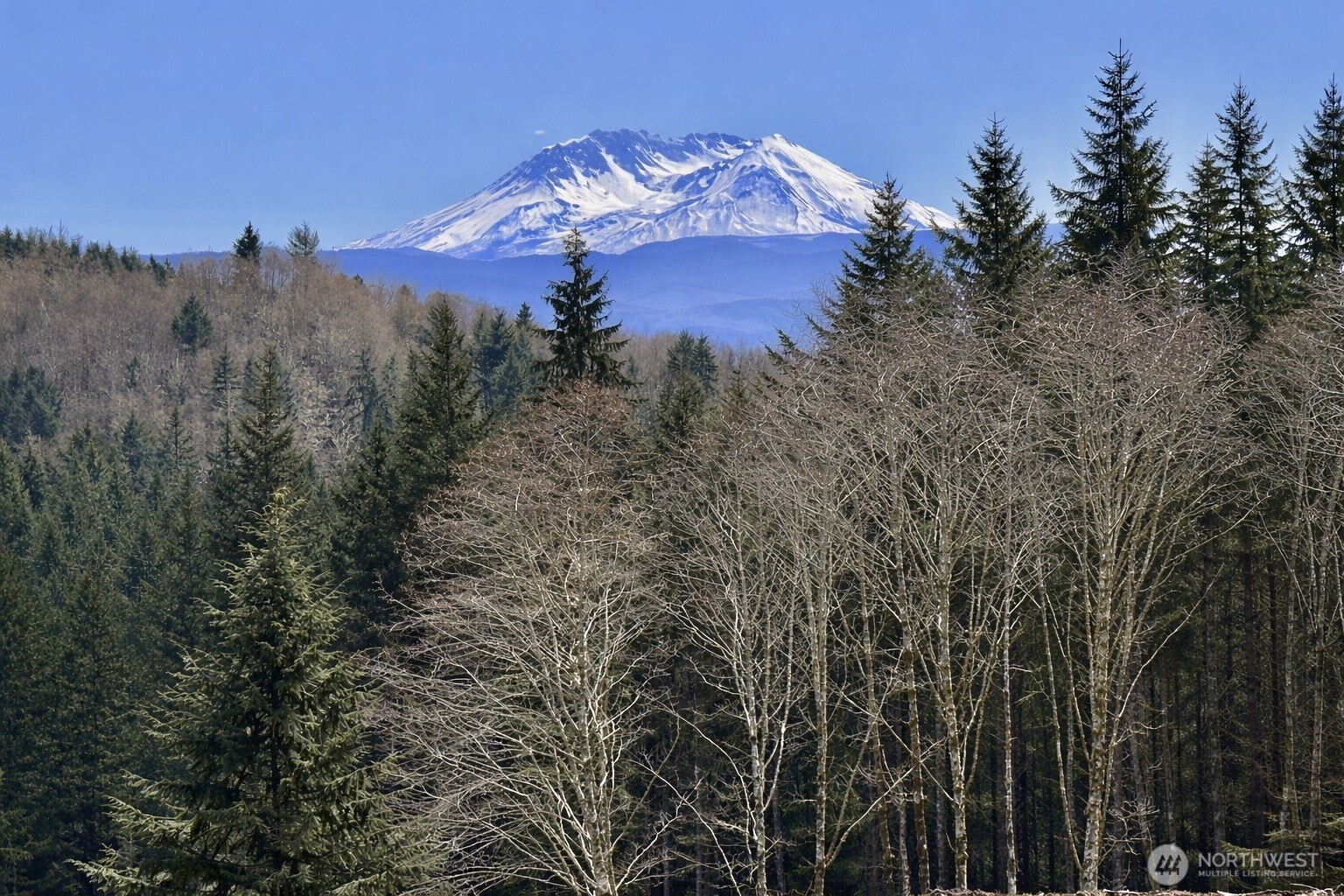 418 August Road , Onalaska, WA 98570