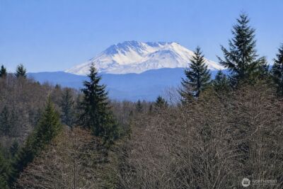 418 August Road , Onalaska, WA 98570 - Photo 5