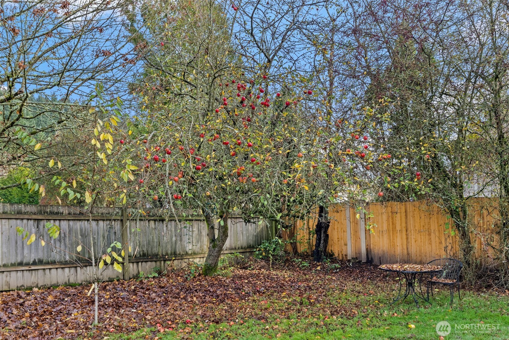 226 SW 16th St , Chehalis, WA 98532