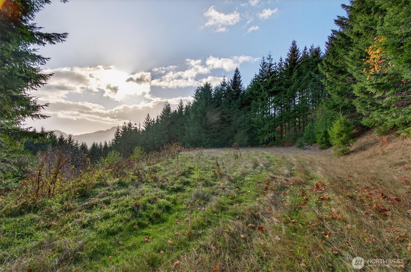 0 Knightsbridge Road , Amboy, WA 98603