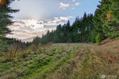 0 Knightsbridge Road , Amboy, WA 98603 - Photo 1