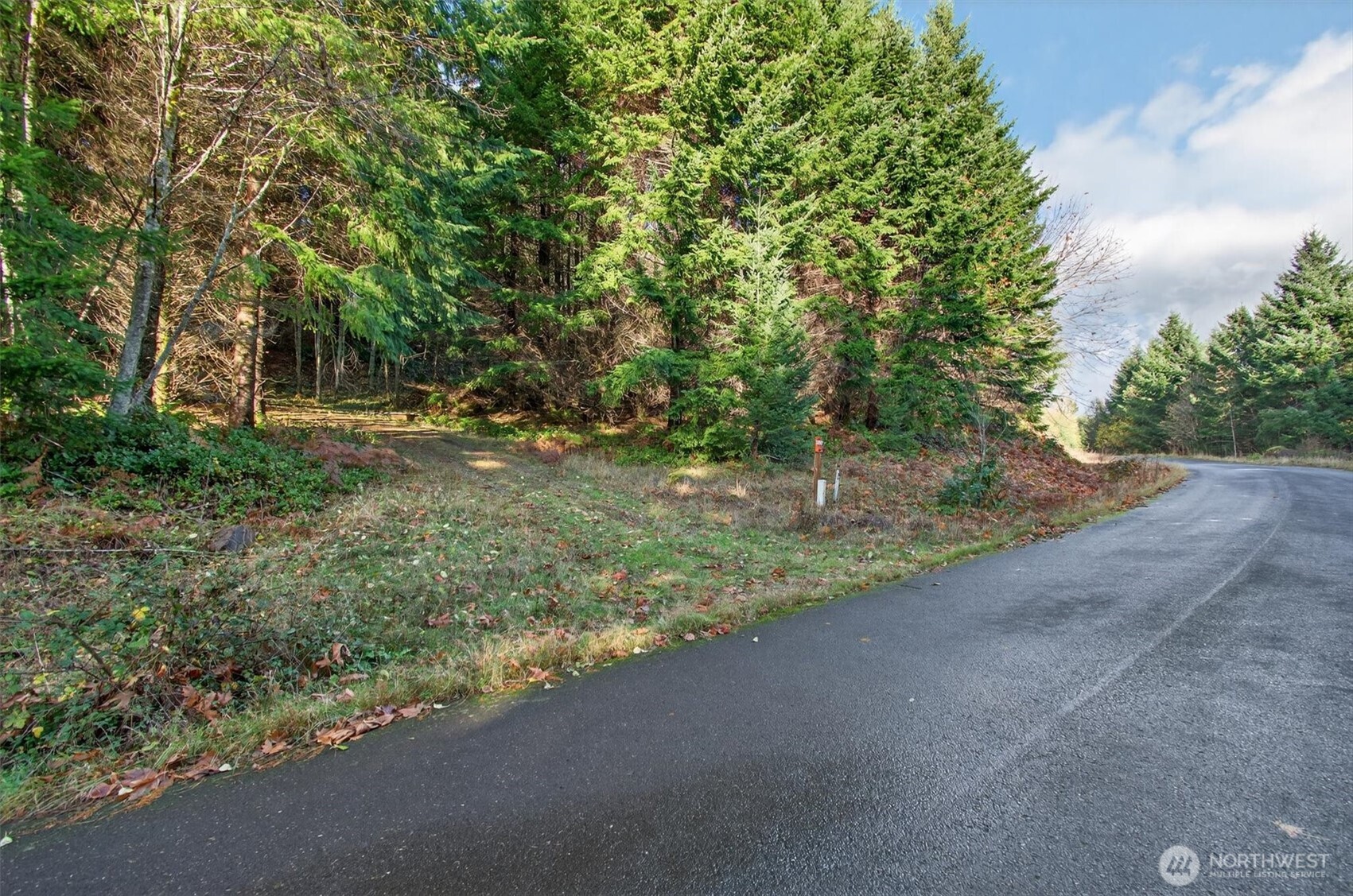 0 Knightsbridge Road , Amboy, WA 98603