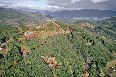 0 Knightsbridge Road , Amboy, WA 98603 - Photo 18