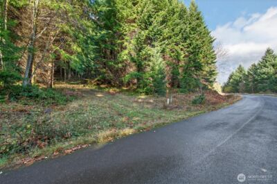 0 Knightsbridge Road , Amboy, WA 98603 - Photo 2