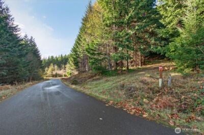 0 Knightsbridge Road , Amboy, WA 98603 - Photo 3