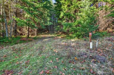 0 Knightsbridge Road , Amboy, WA 98603 - Photo 4