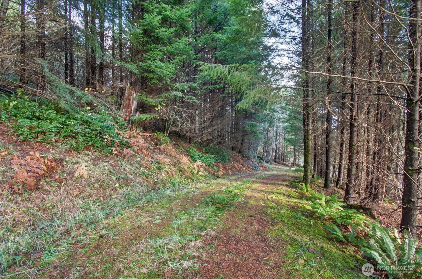 0 Knightsbridge Road , Amboy, WA 98603