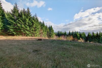 0 Knightsbridge Road , Amboy, WA 98603 - Photo 6