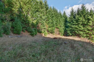 0 Knightsbridge Road , Amboy, WA 98603 - Photo 7