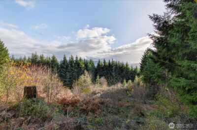 0 Knightsbridge Road , Amboy, WA 98603 - Photo 8