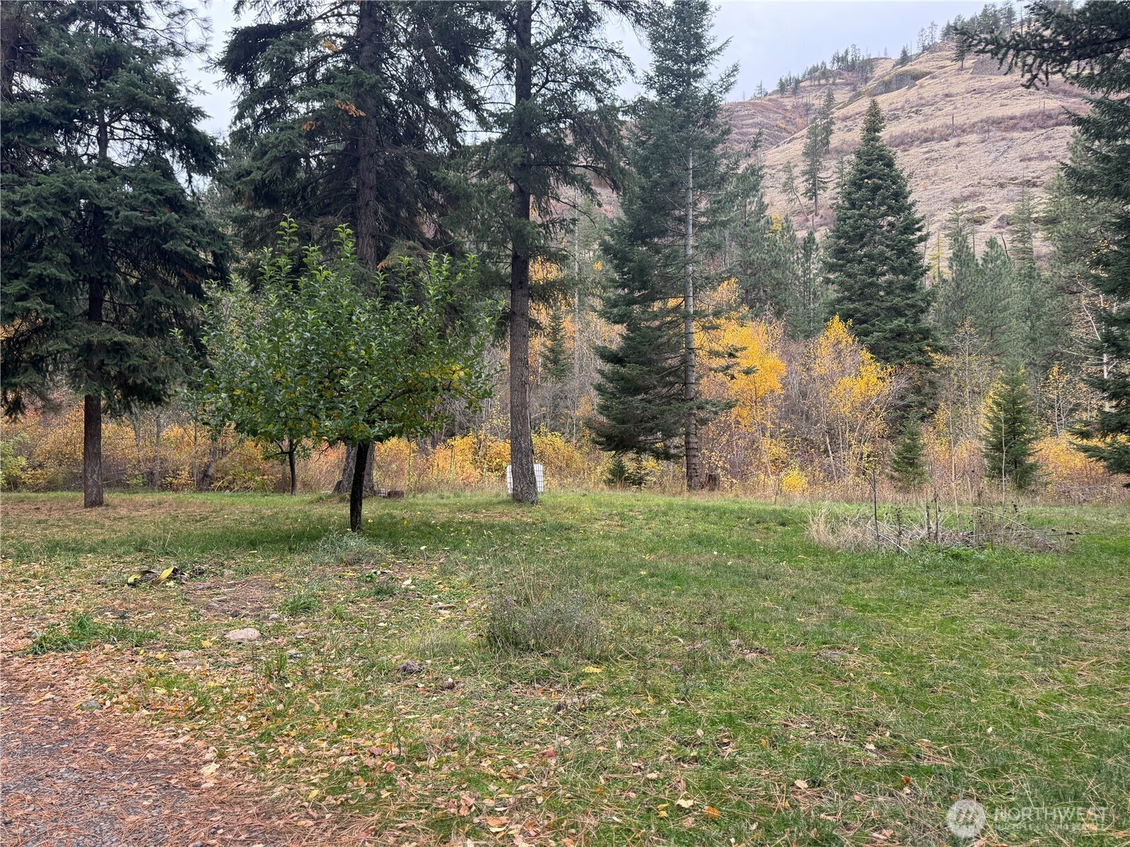 111 Tamarack Lane , Dayton, WA 99328