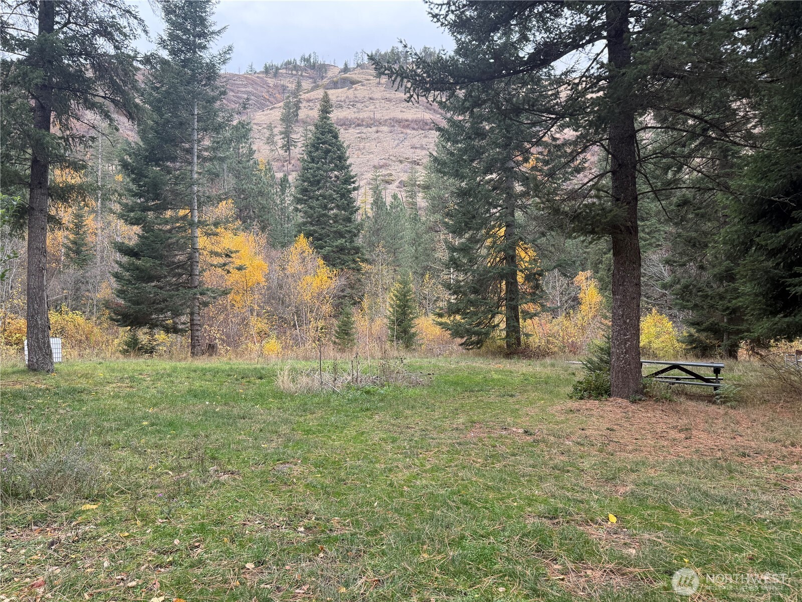 111 Tamarack Lane , Dayton, WA 99328