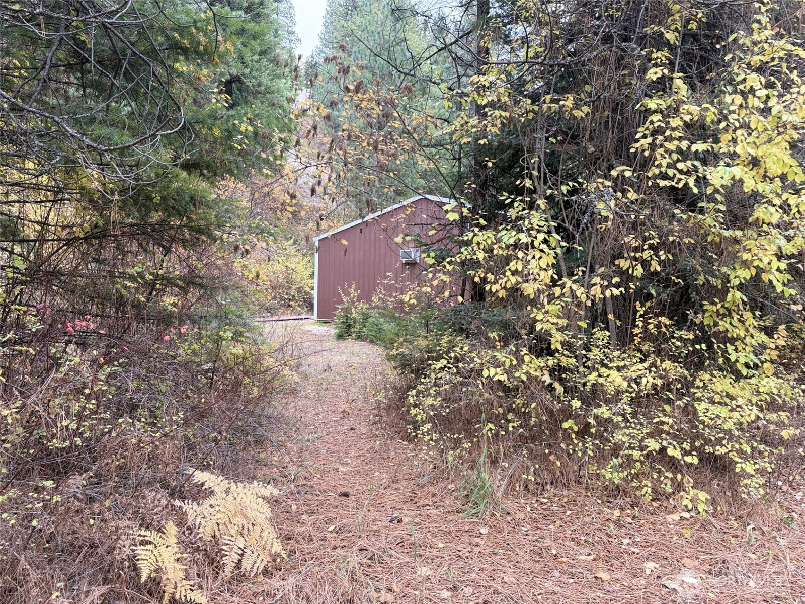 111 Tamarack Lane , Dayton, WA 99328