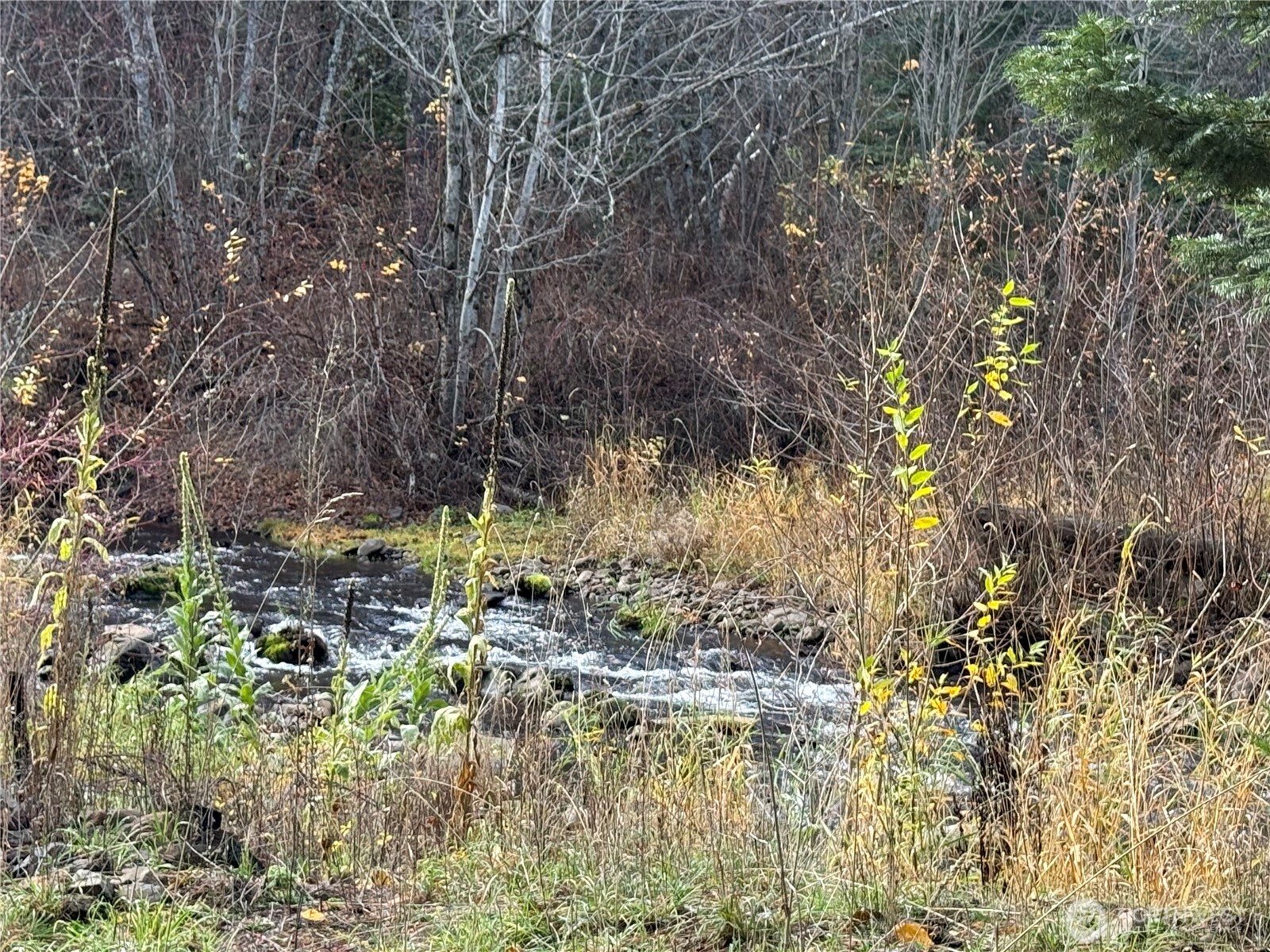 111 Tamarack Lane , Dayton, WA 99328