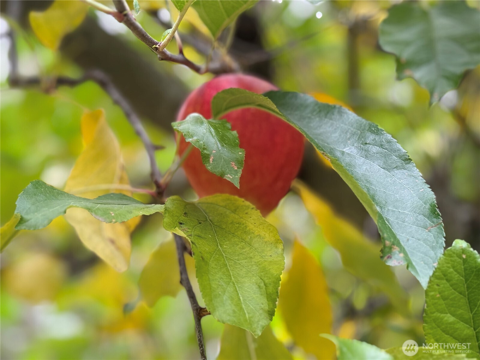 111 Tamarack Lane , Dayton, WA 99328