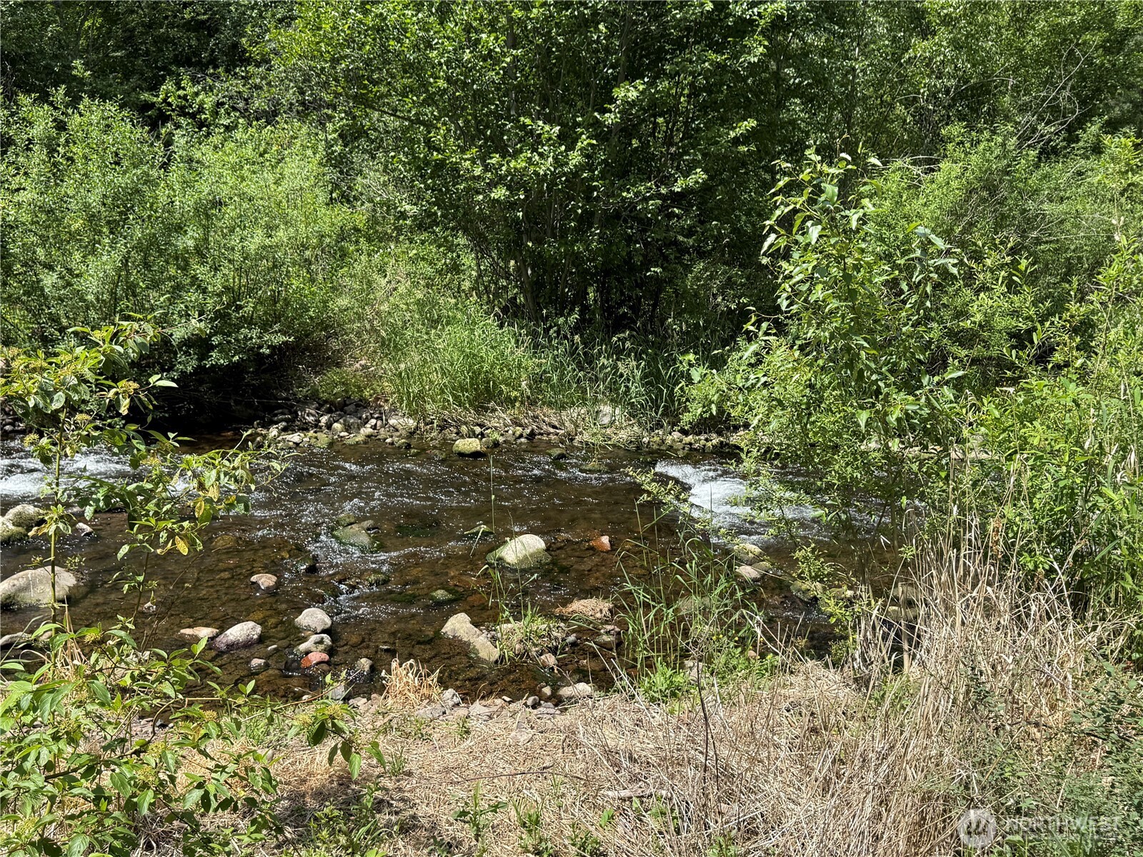 111 Tamarack Lane , Dayton, WA 99328