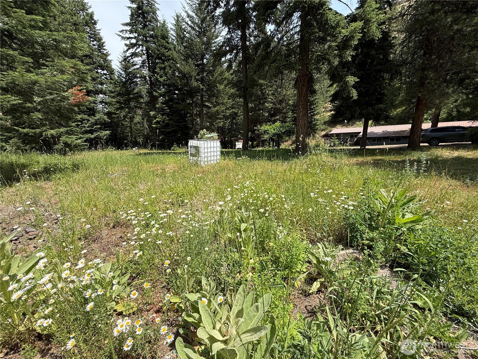 111 Tamarack Lane , Dayton, WA 99328