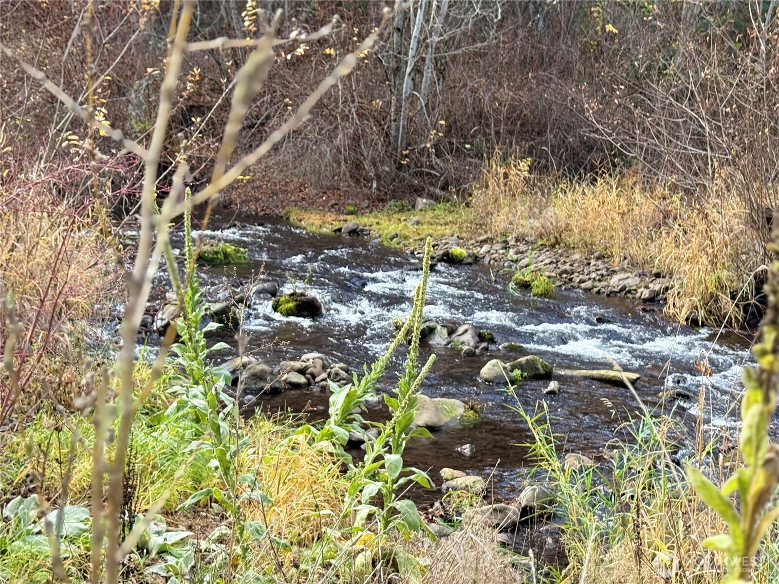 111 Tamarack Lane , Dayton, WA 99328