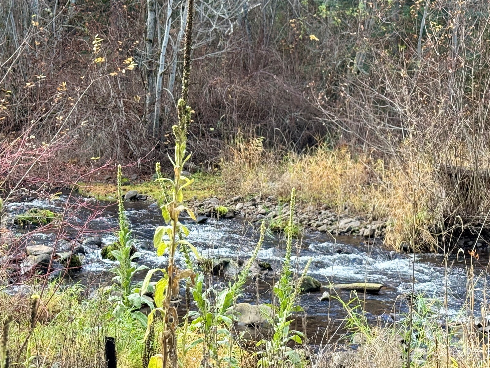 111 Tamarack Lane , Dayton, WA 99328