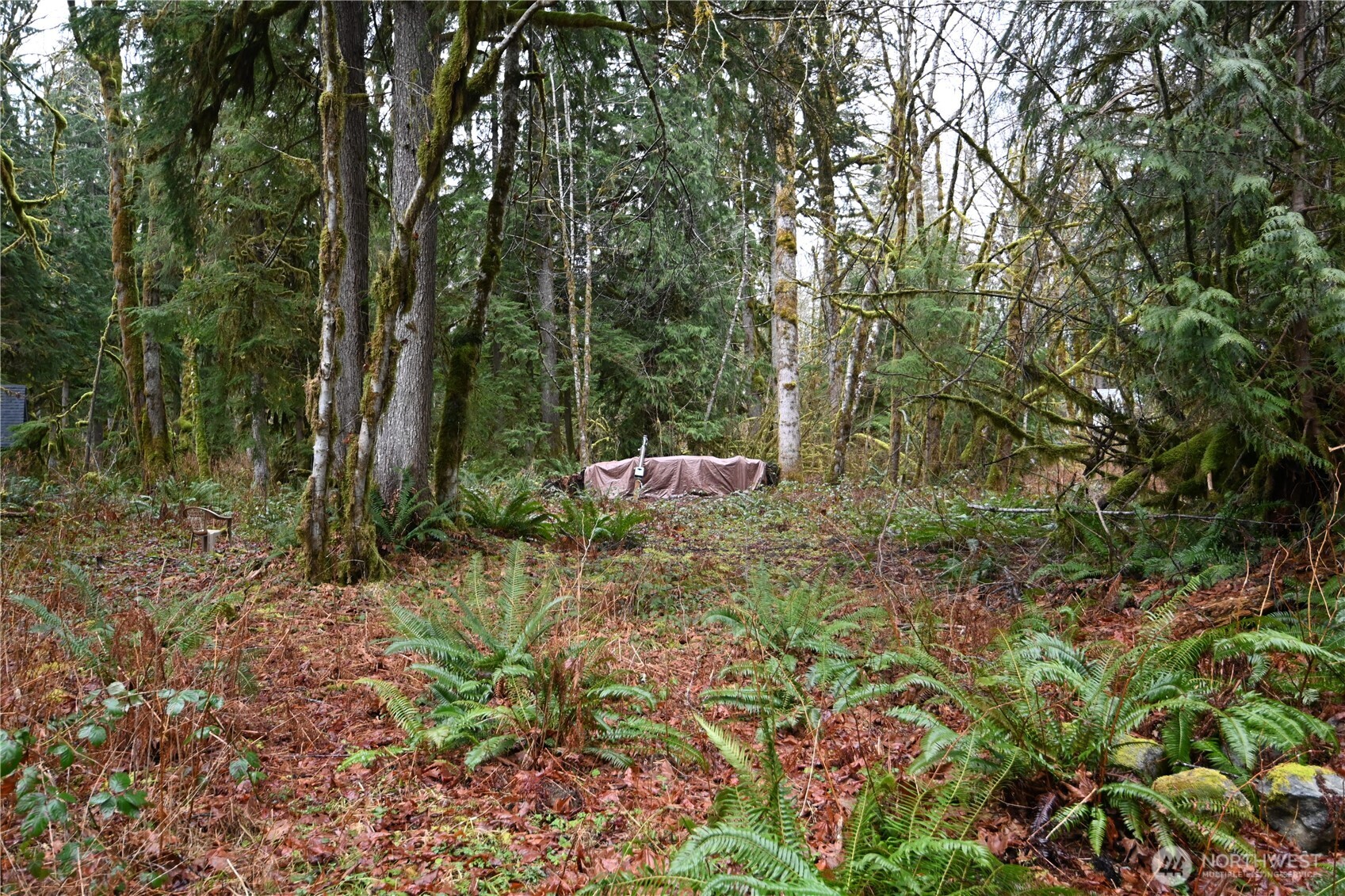 63645 NE 190th Street , Baring, WA 98224