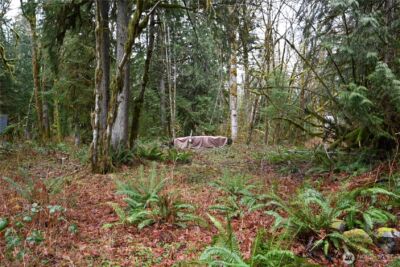 63645 NE 190th Street , Baring, WA 98224 - Photo 1