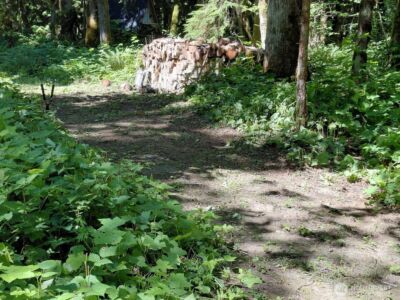 63645 NE 190th Street , Baring, WA 98224 - Photo 6