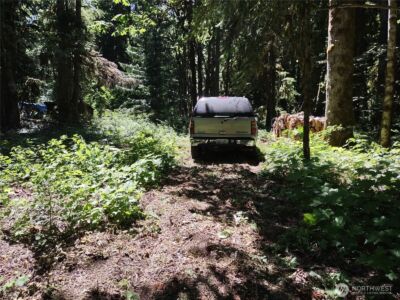 63645 NE 190th Street , Baring, WA 98224 - Photo 7