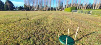 804 Cameron Road , Sequim, WA 98382 - Photo 12