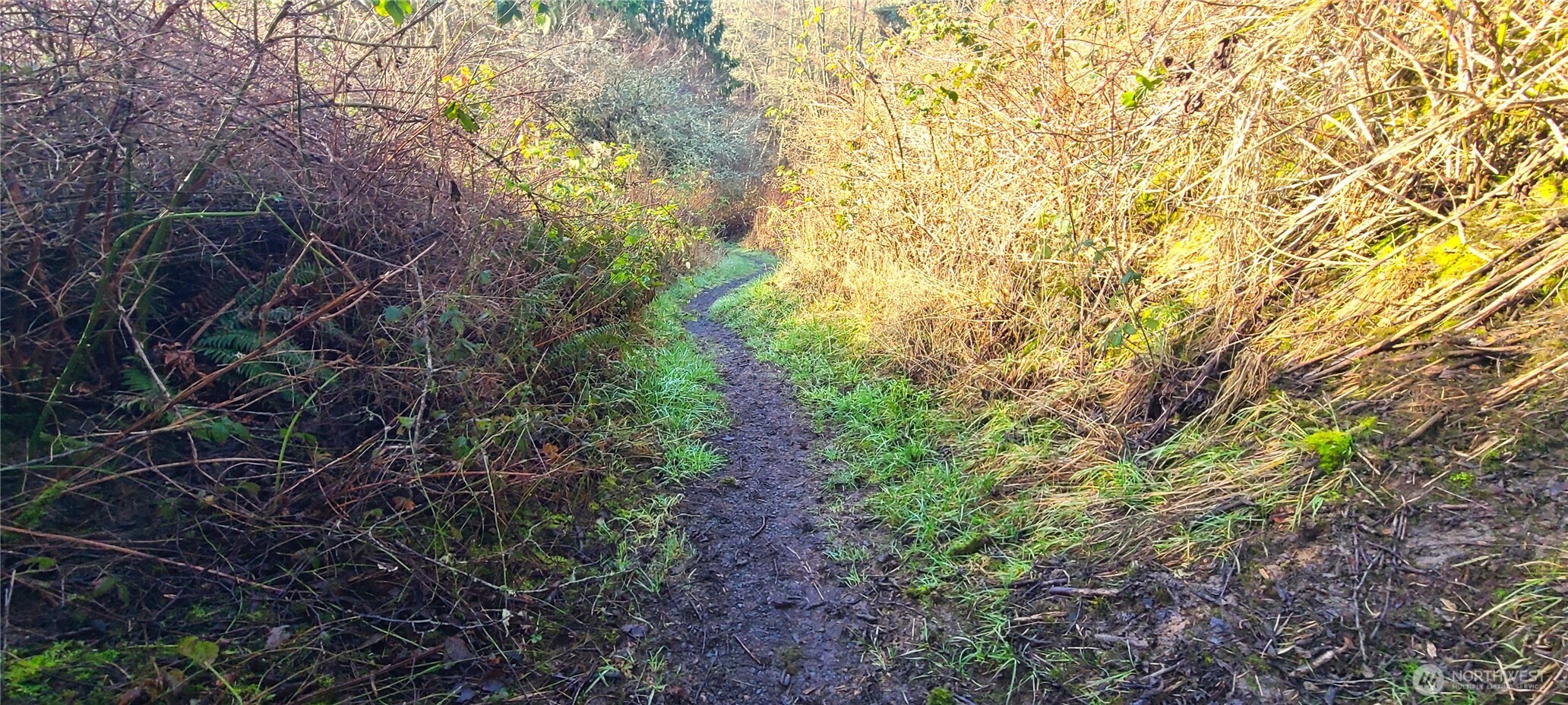 804 Cameron Road , Sequim, WA 98382